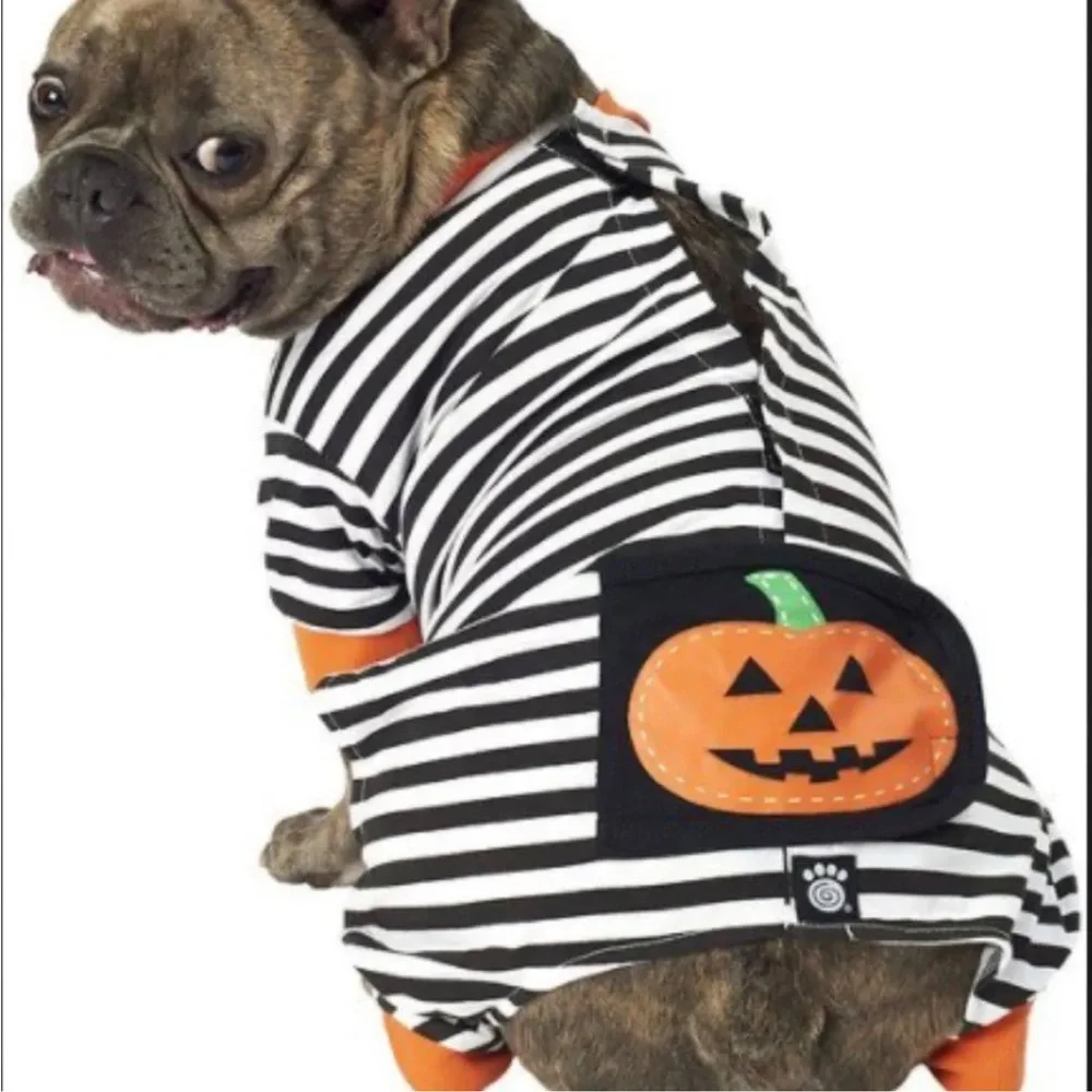 🎃 Petrageous Designs Pumpkin Patch Striped Halloween Dog Pajamas